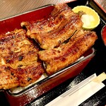 (特上等) 鳗鱼重天龙川 (附肝吸/腌菜/沙拉)