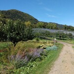 定山渓ファーム - 