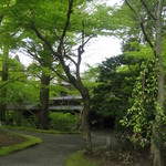 亀の井別荘 - 敷地内の新緑