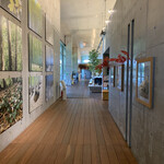 ベルナティオ - 