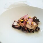 ヌキテパ - 蛸とサザエ　茗荷の白ワイン煮　オリーブオイル