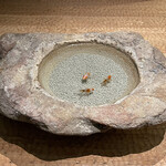 帝国ホテル 寅黒 - 