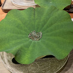 帝国ホテル 寅黒 - 