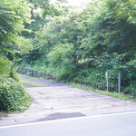 Fogliolina della Porta Fortuna