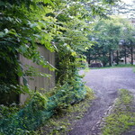 Fogliolina della Porta Fortuna