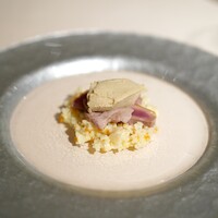 フォリオリーナ・デッラ・ポルタ・フォルトゥーナ - 