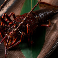 【ランチ】首里コース◎最高級A5ﾗﾝｸ黒毛和牛・あぐー豚・ｲｾｴﾋﾞを堪能 8品 12,000円