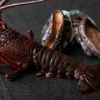 【ランチ】極みコース最高級A5ﾗﾝｸ黒毛和牛・あぐー豚・活鮑・ｲｾｴﾋﾞを堪能 9品 14,000円