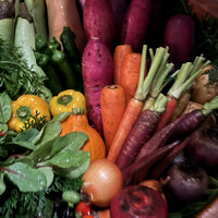 レフェルヴェソンス - 