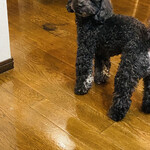 高原の宿ブッガーブー - 