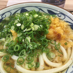 Marugame Seimen - 