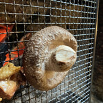 ろばたやき山ろく - 