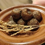 麻布さおとめ - 