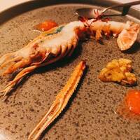 タケル クインディチ(LOQUAT) 西伊豆 - 赤座エビ