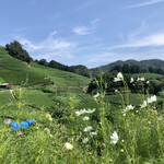 ダンダンカフェ - 