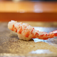 天寿し 京町店 - 車海老を半茹で