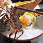 網元の宿 ろくや - 選べるチョイスプランの伊勢海老のお造り