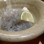 沢庵 - 生しらす２０１３，４