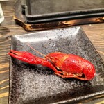 煮穴子と白ぎも - 