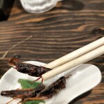 煮穴子と白ぎも - 