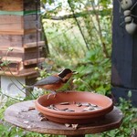 くつきそば 永昌庵 - 