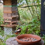 くつきそば 永昌庵 - 