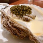 スガラボヴィー - 