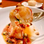 スガラボヴィー - 