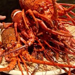 スガラボヴィー - 