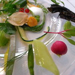 レストラン タテル ヨシノ 銀座 - 季節の野菜　庭園風