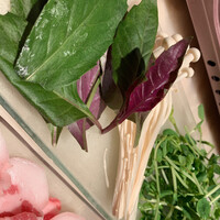 イベリコ・バル 門仲 - 