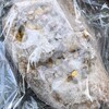 パンとワインの店 ぱんびーの - とうもろこしのカンパーニュ