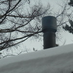 フォリオリーナ・デッラ・ポルタ・フォルトゥーナ - 