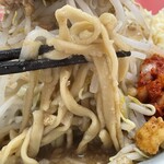 ラーメン もっけだの - 『ニボGニンニク野菜マシマシ』の麺