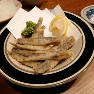 旬彩串揚げ 無我夢中_0