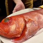 マンジャフォーコ - 