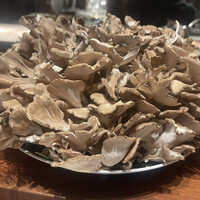 スガラボヴィー - 