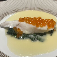 スガラボヴィー - 