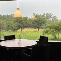 メゾン ケイ - お店から見える満開のひまわり畑。