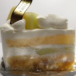 シャロン - メロンショート