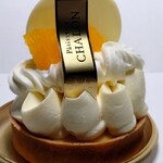 シャロン - レアチーズタルト