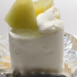 シャロン - メロンショート