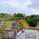 GAFLO CAFE by Flower FIELD - 