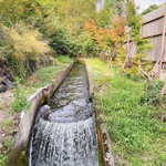 GAFLO CAFE by Flower FIELD - 