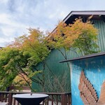 GAFLO CAFE by Flower FIELD