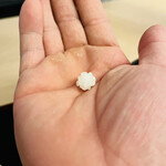 山玄茶 - コンペータイムｷﾀ━(ﾟ∀ﾟ)━!   １個かよっ(笑)