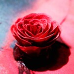 ル スプートニク - あまりに有名なスペシャリテ！