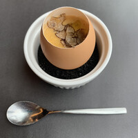 アルティザン ドゥ ラ トリュフ パリ - 