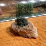 寿し さがみや - 牡丹海老