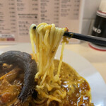 NIKONIKO Mazemen and curry - 魚カレー麺 麺アップ